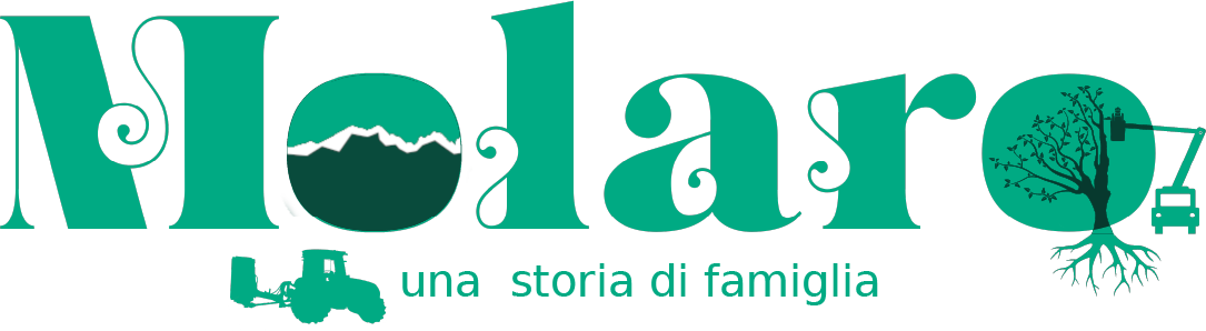 Molaro sas